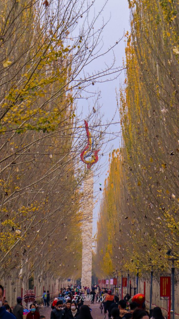 图片[102]-摄联第一届摄影大赛作品展览-宁夏学生摄影联合会