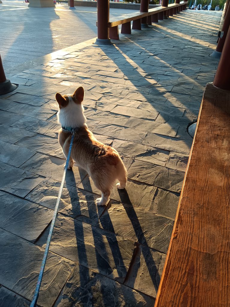 图片[41]-摄联第一届摄影大赛作品展览-宁夏学生摄影联合会