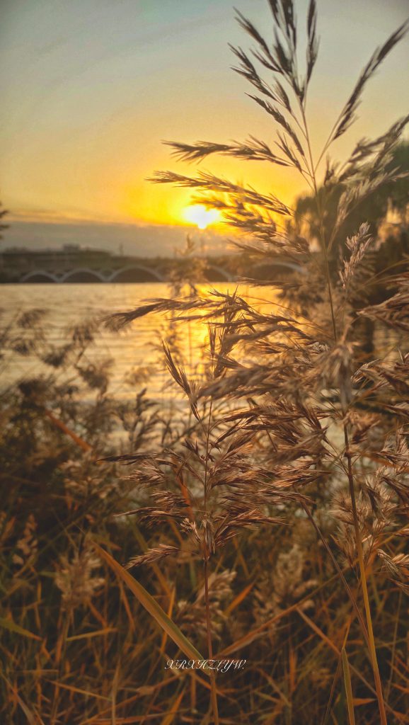 图片[25]-摄联第一届摄影大赛作品展览-宁夏学生摄影联合会