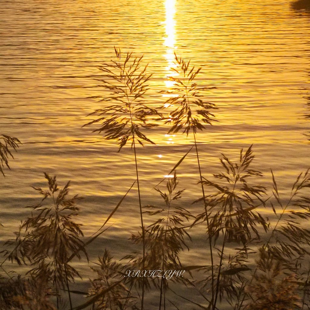 图片[26]-摄联第一届摄影大赛作品展览-宁夏学生摄影联合会