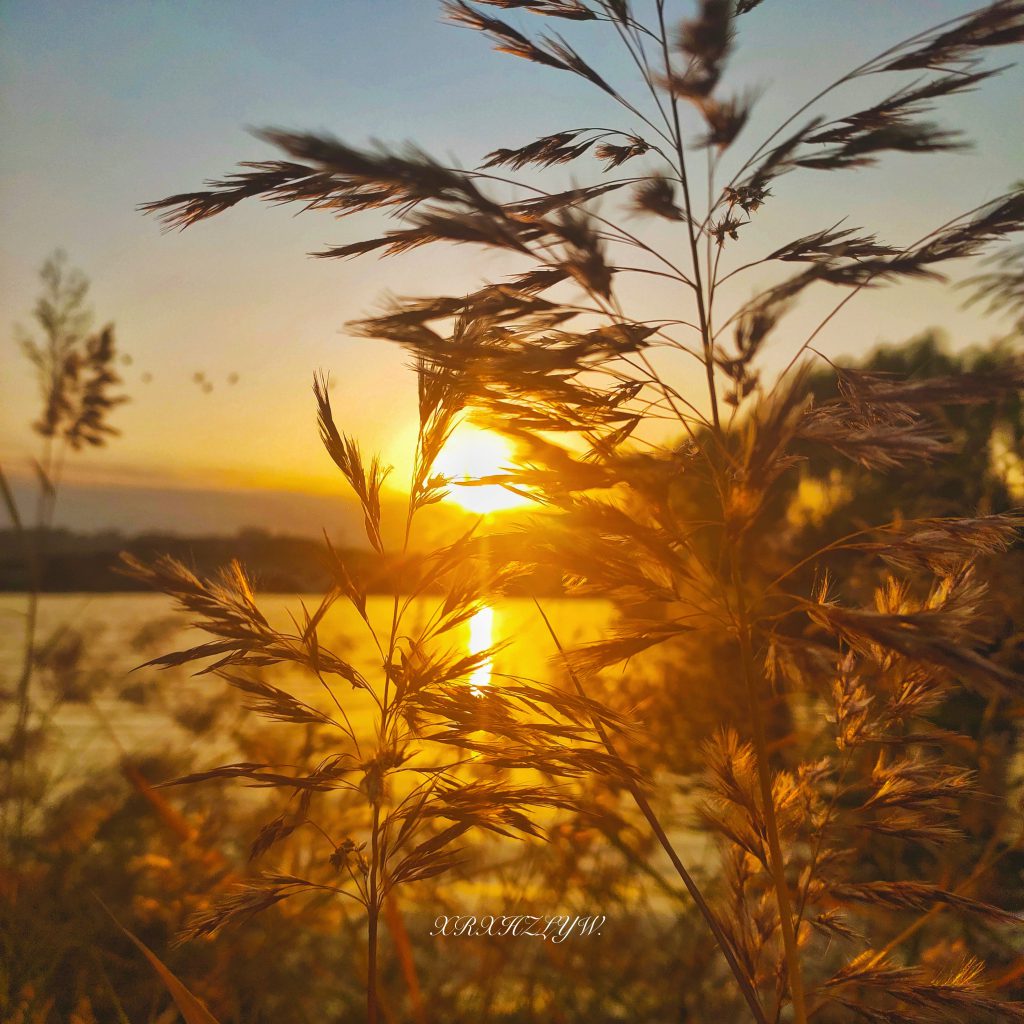 图片[27]-摄联第一届摄影大赛作品展览-宁夏学生摄影联合会