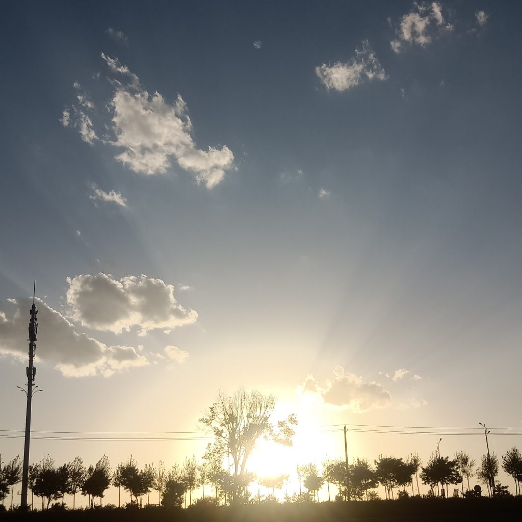 图片[19]-摄联第一届摄影大赛作品展览-宁夏学生摄影联合会