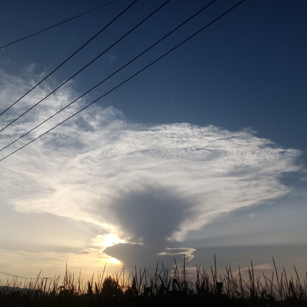 图片[20]-摄联第一届摄影大赛作品展览-宁夏学生摄影联合会