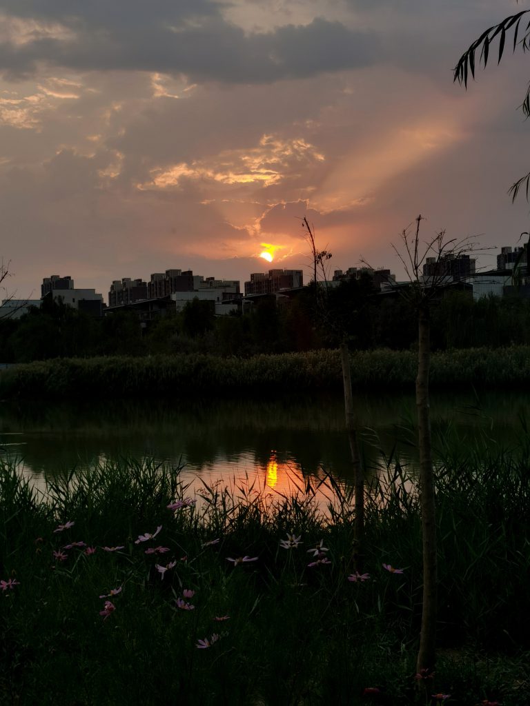 图片[34]-摄联第一届摄影大赛作品展览-宁夏学生摄影联合会