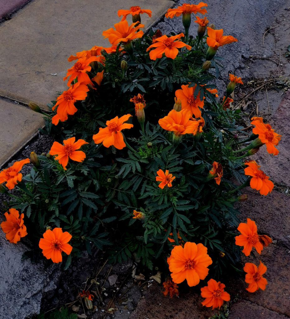 图片[35]-摄联第一届摄影大赛作品展览-宁夏学生摄影联合会