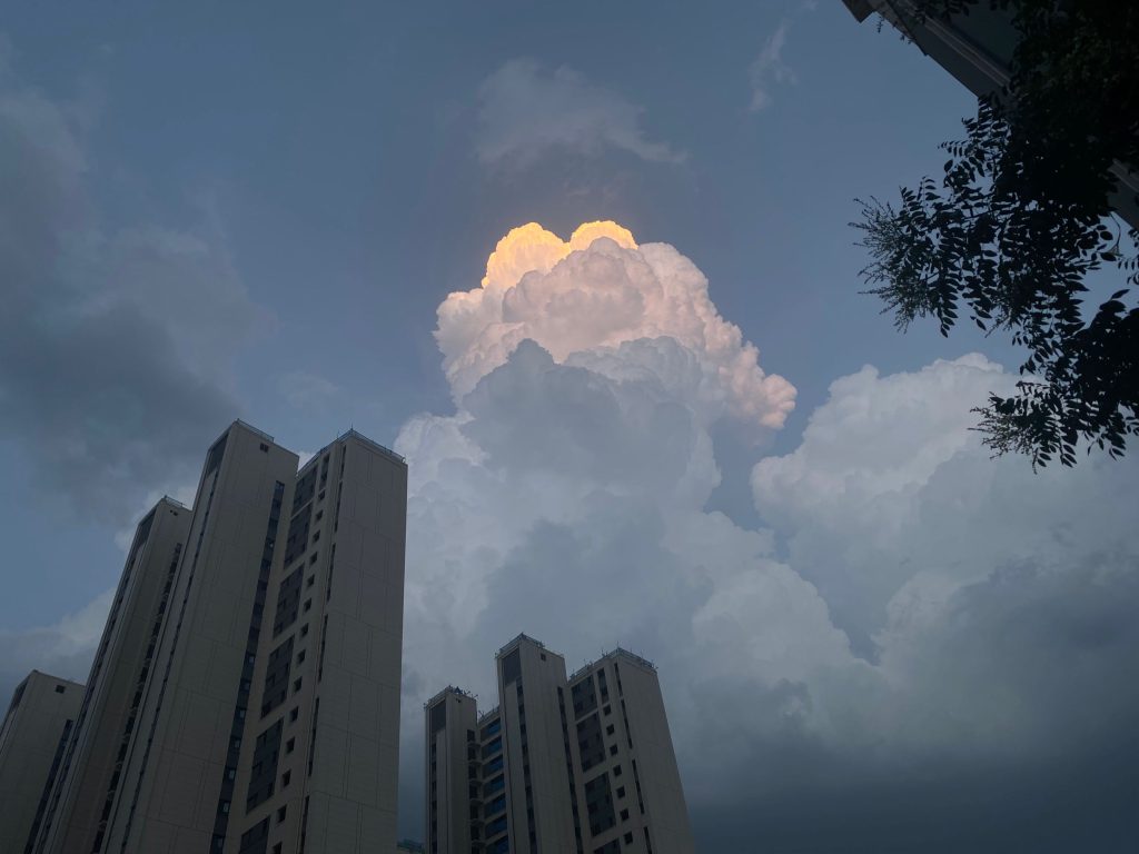 图片[42]-摄联第一届摄影大赛作品展览-宁夏学生摄影联合会