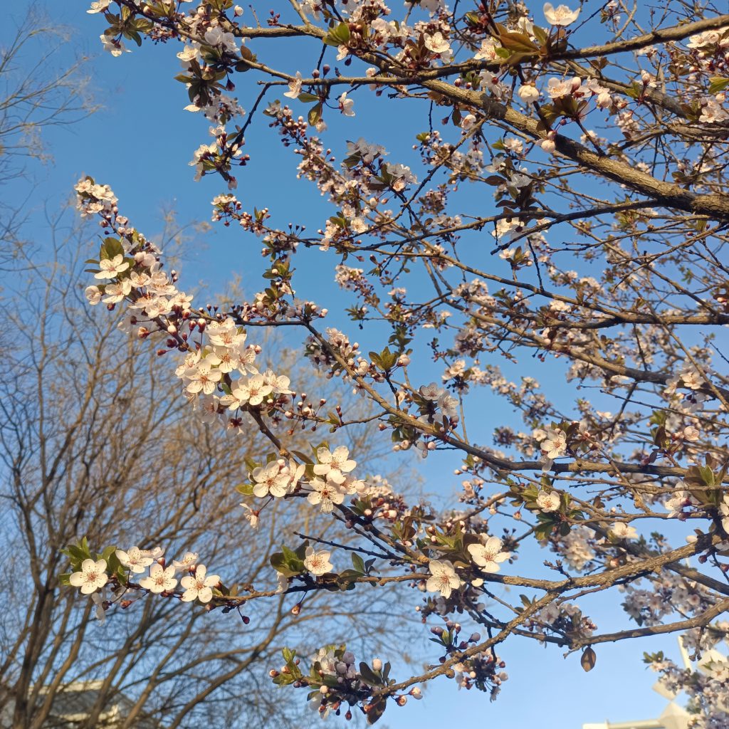 图片[43]-摄联第一届摄影大赛作品展览-宁夏学生摄影联合会