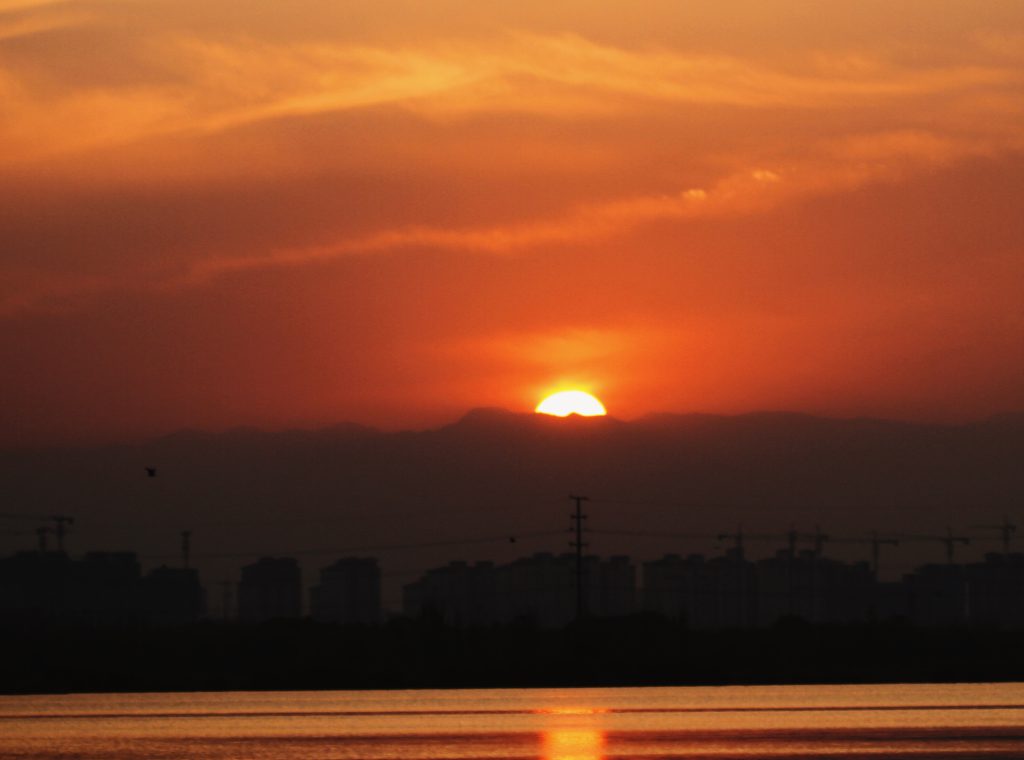 图片[88]-摄联第一届摄影大赛作品展览-宁夏学生摄影联合会