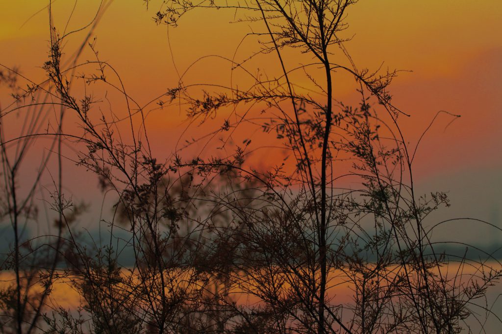 图片[89]-摄联第一届摄影大赛作品展览-宁夏学生摄影联合会