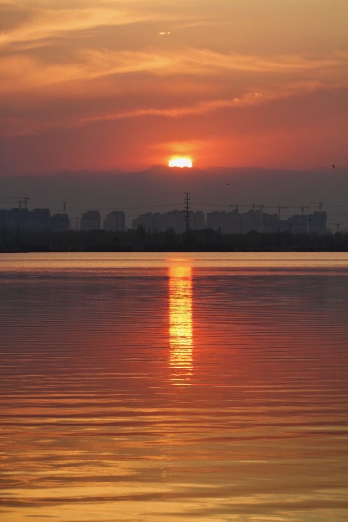 图片[90]-摄联第一届摄影大赛作品展览-宁夏学生摄影联合会