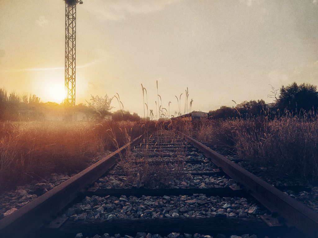 图片[92]-摄联第一届摄影大赛作品展览-宁夏学生摄影联合会