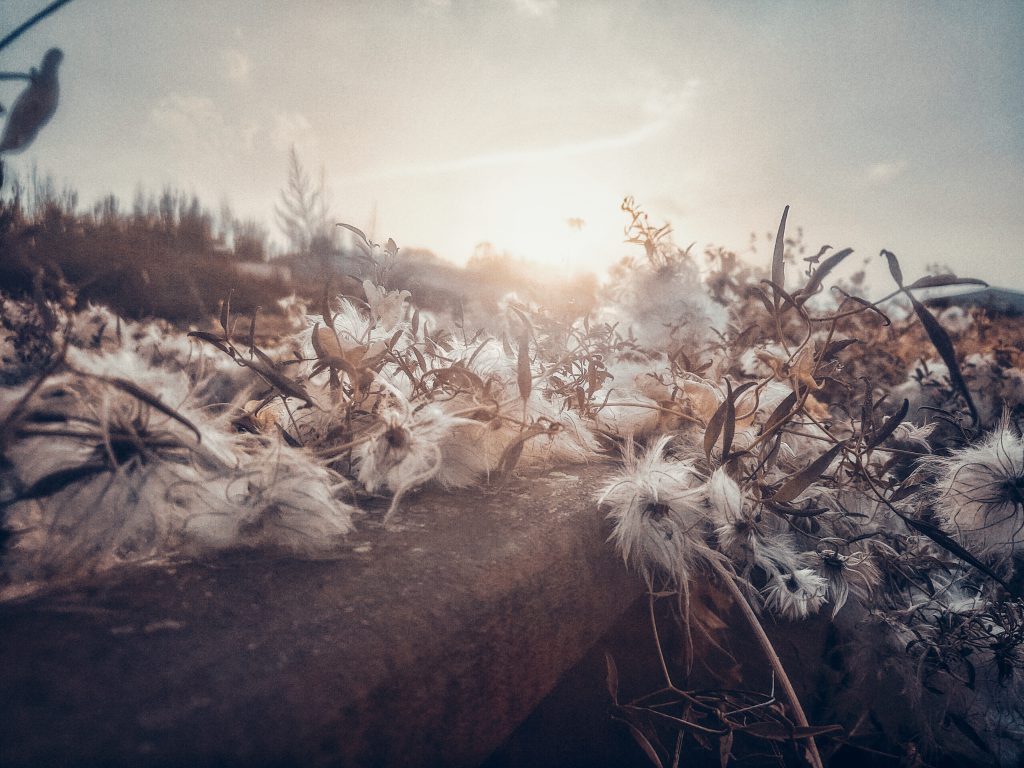 图片[93]-摄联第一届摄影大赛作品展览-宁夏学生摄影联合会