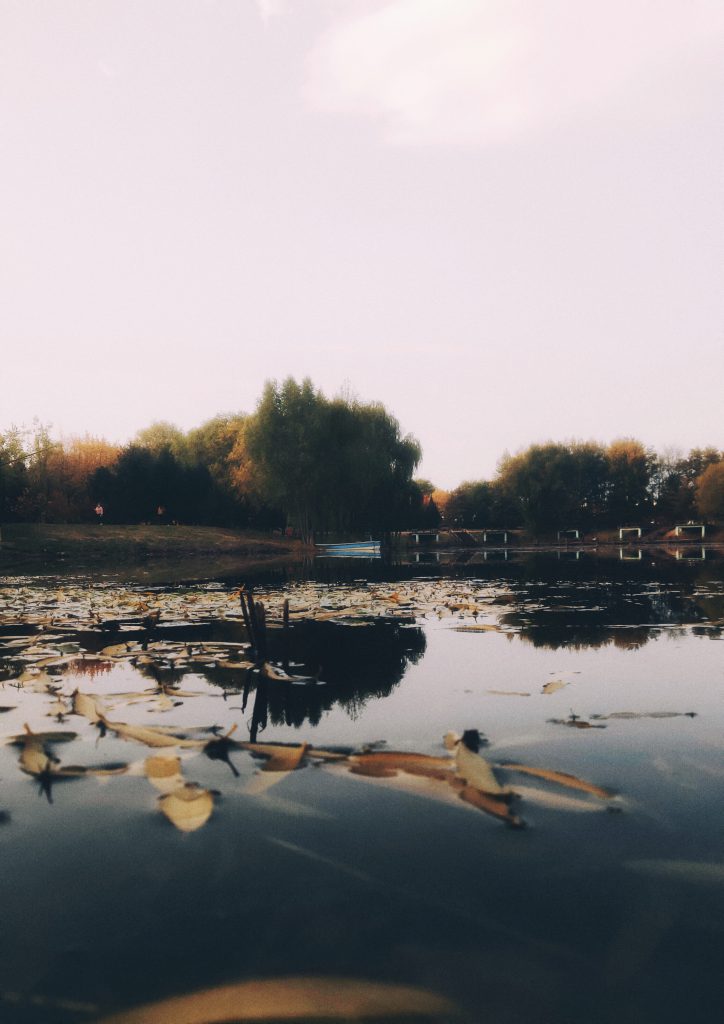 图片[91]-摄联第一届摄影大赛作品展览-宁夏学生摄影联合会