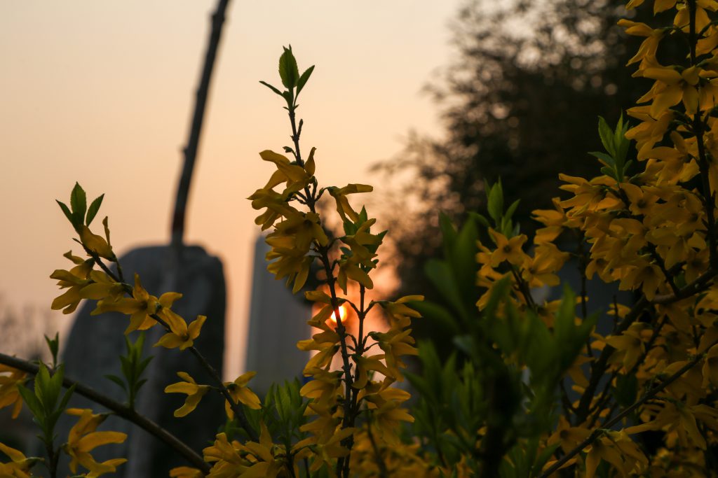 图片[83]-摄联第一届摄影大赛作品展览-宁夏学生摄影联合会