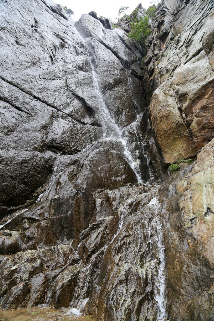 图片[86]-摄联第一届摄影大赛作品展览-宁夏学生摄影联合会