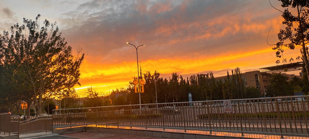 图片[82]-摄联第一届摄影大赛作品展览-宁夏学生摄影联合会