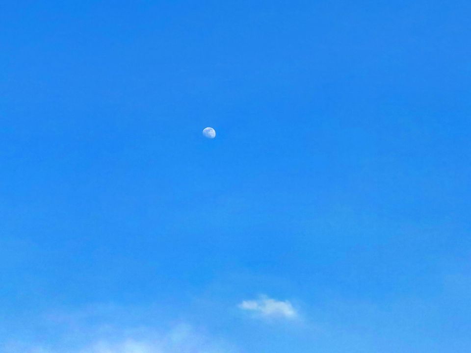 图片[59]-摄联第一届摄影大赛作品展览-宁夏学生摄影联合会