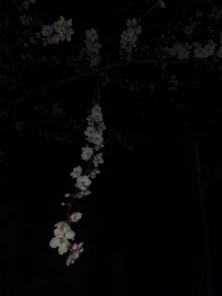 图片[54]-摄联第一届摄影大赛作品展览-宁夏学生摄影联合会