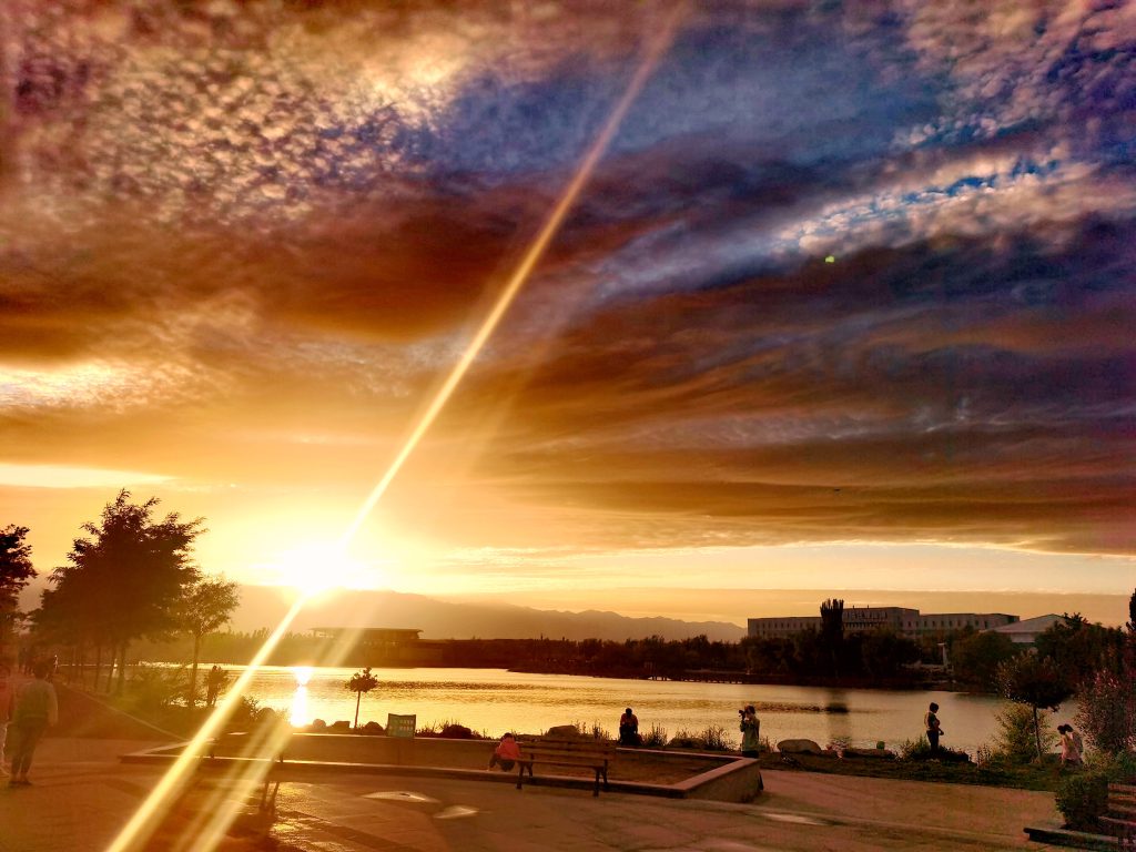 图片[55]-摄联第一届摄影大赛作品展览-宁夏学生摄影联合会