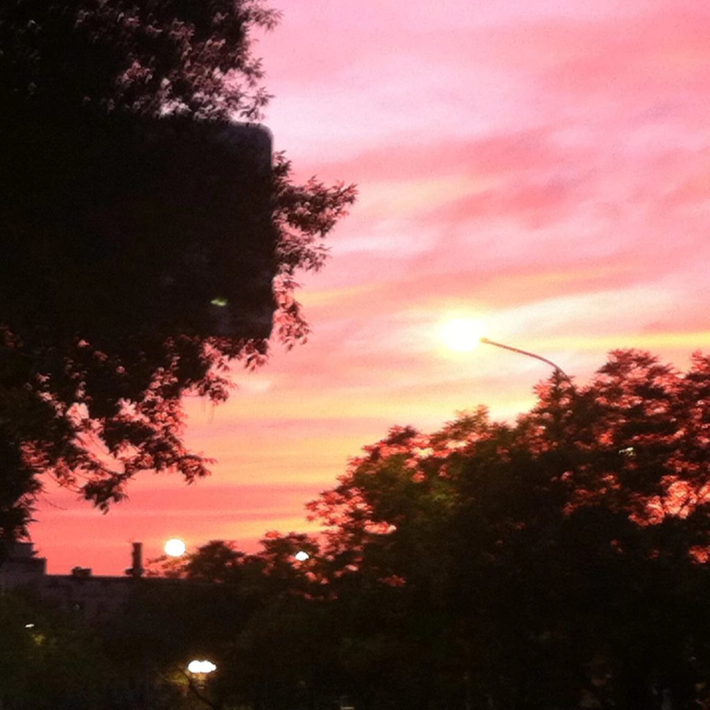 图片[98]-摄联第一届摄影大赛作品展览-宁夏学生摄影联合会