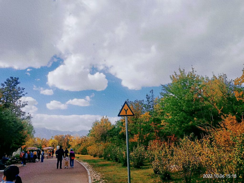 图片[105]-摄联第一届摄影大赛作品展览-宁夏学生摄影联合会