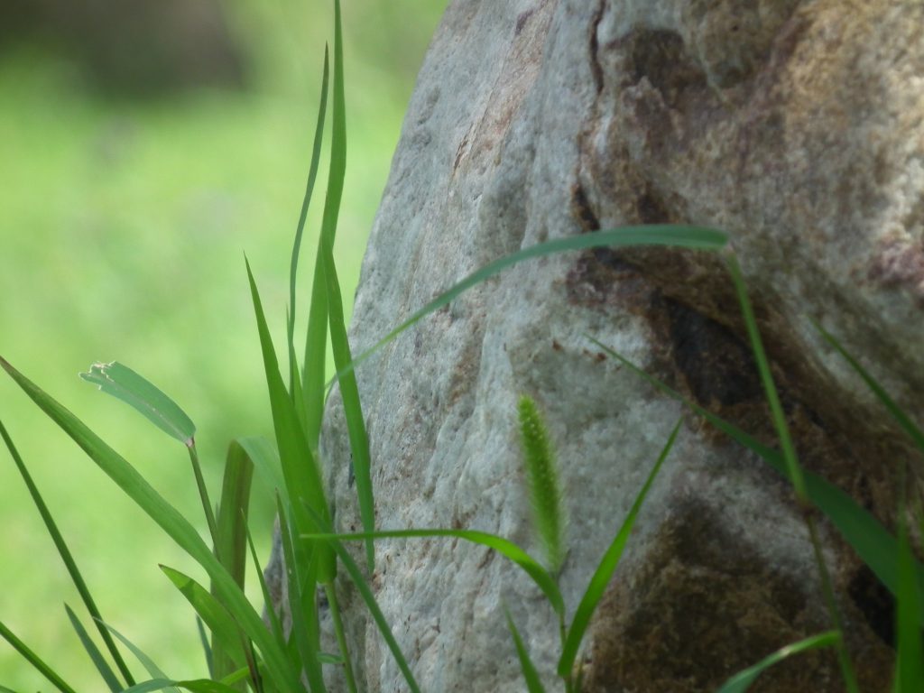 图片[107]-摄联第一届摄影大赛作品展览-宁夏学生摄影联合会