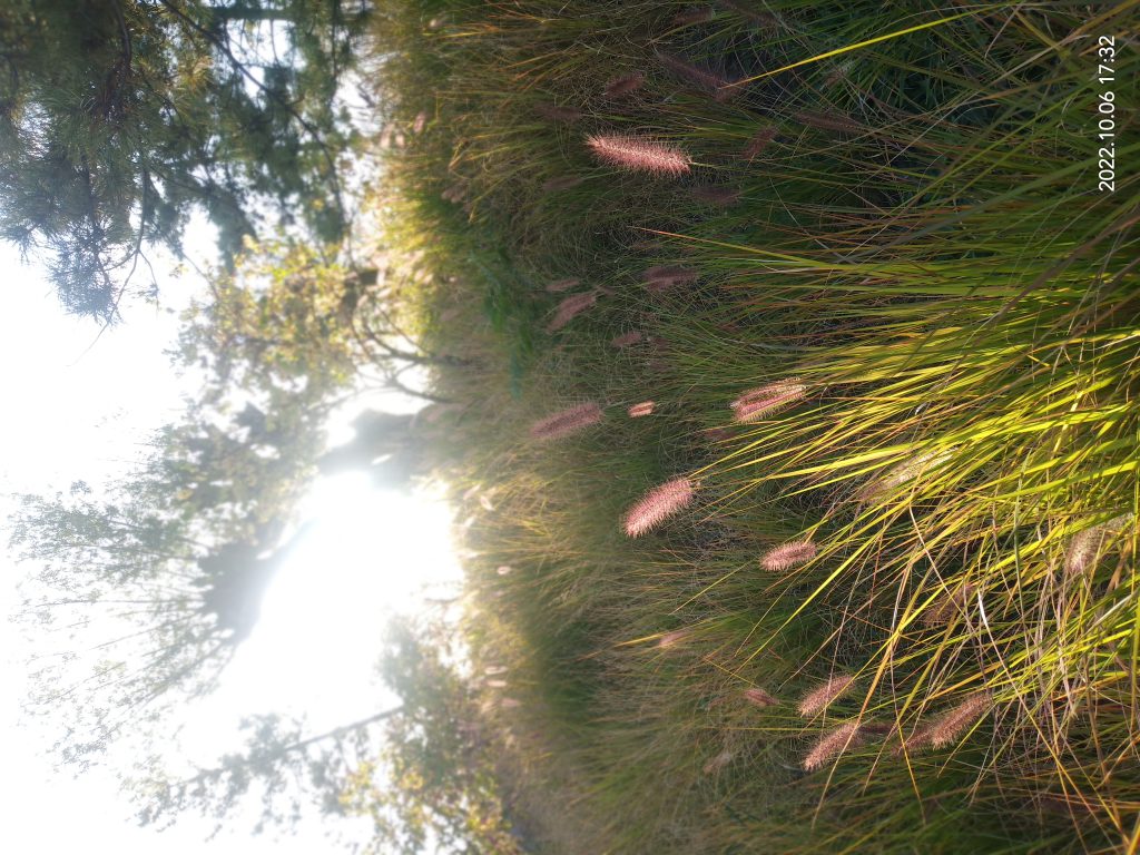 图片[108]-摄联第一届摄影大赛作品展览-宁夏学生摄影联合会