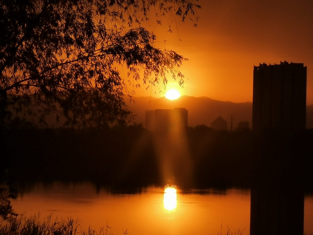 图片[50]-摄联第一届摄影大赛作品展览-宁夏学生摄影联合会