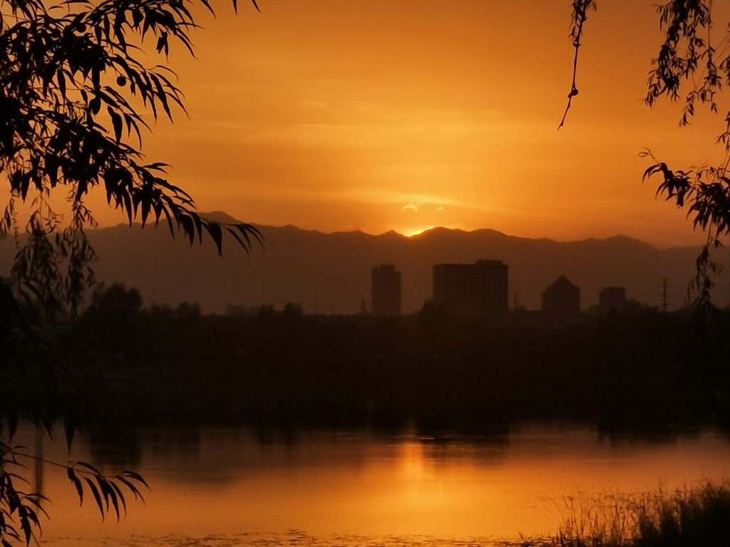 图片[51]-摄联第一届摄影大赛作品展览-宁夏学生摄影联合会