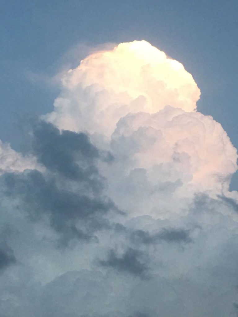 图片[52]-摄联第一届摄影大赛作品展览-宁夏学生摄影联合会