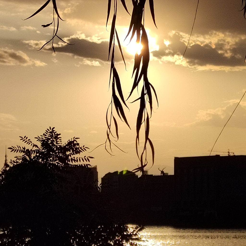 图片[78]-摄联第一届摄影大赛作品展览-宁夏学生摄影联合会