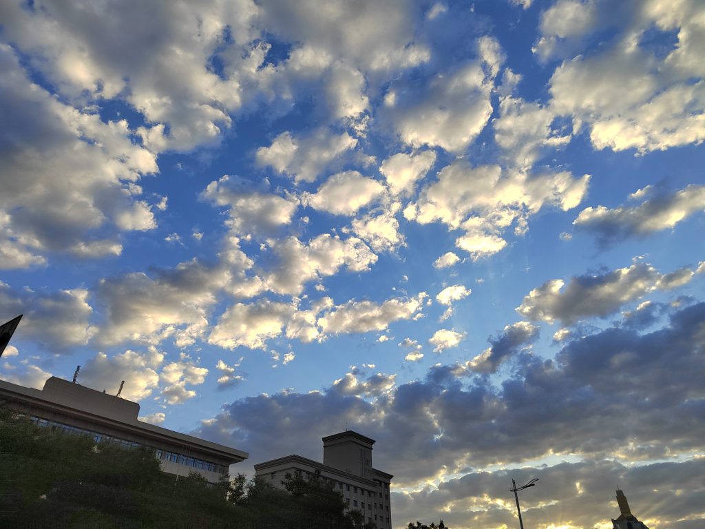 图片[80]-摄联第一届摄影大赛作品展览-宁夏学生摄影联合会