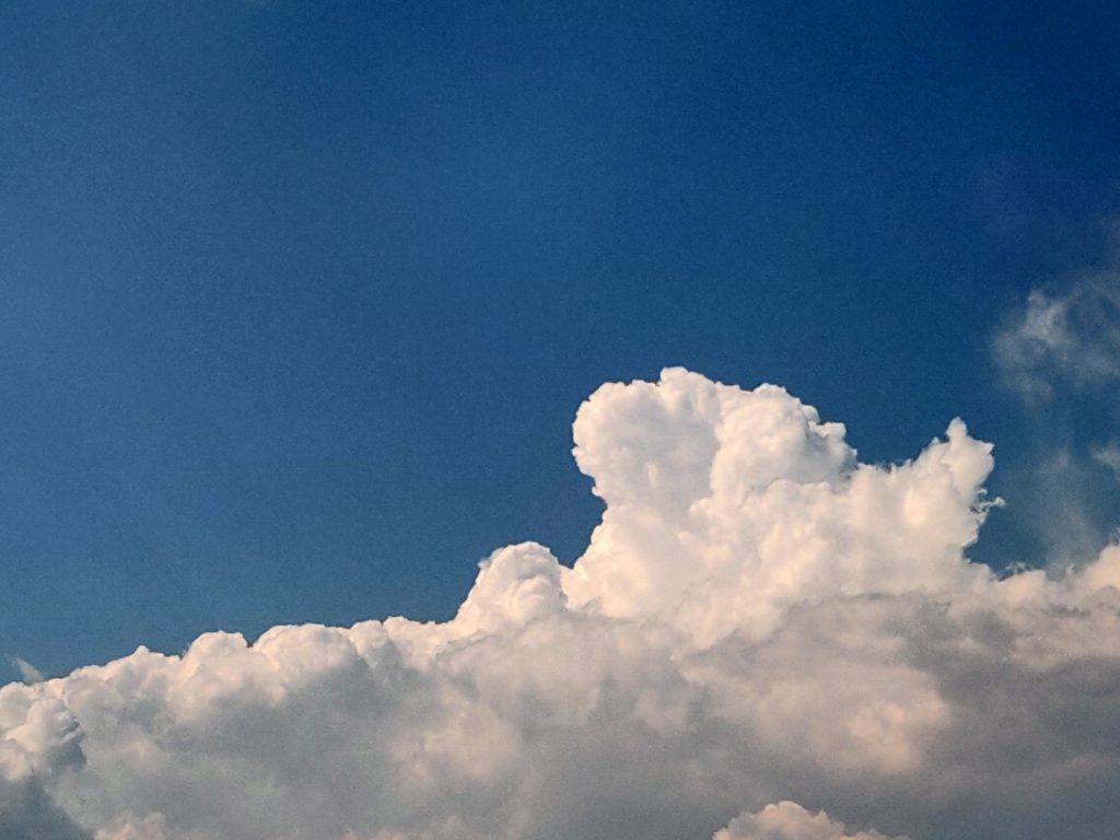 图片[110]-摄联第一届摄影大赛作品展览-宁夏学生摄影联合会