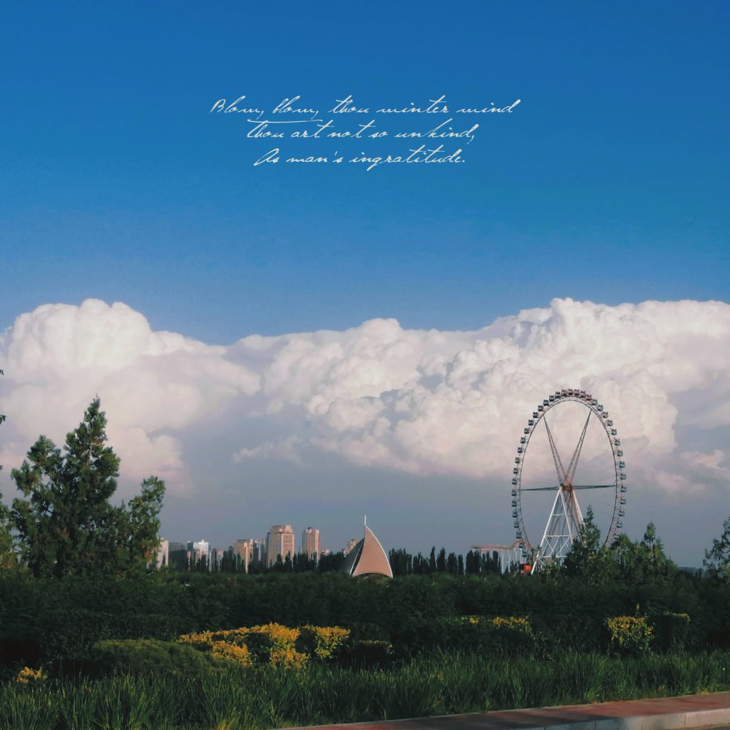 图片[95]-摄联第一届摄影大赛作品展览-宁夏学生摄影联合会