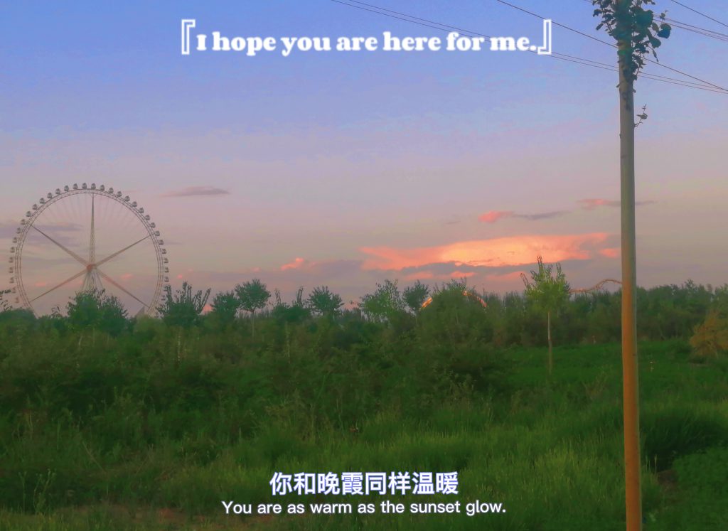 图片[96]-摄联第一届摄影大赛作品展览-宁夏学生摄影联合会