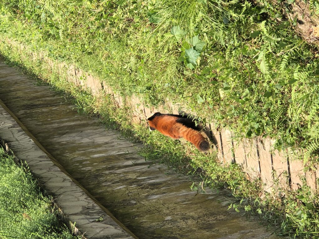 图片[63]-摄联第一届摄影大赛作品展览-宁夏学生摄影联合会