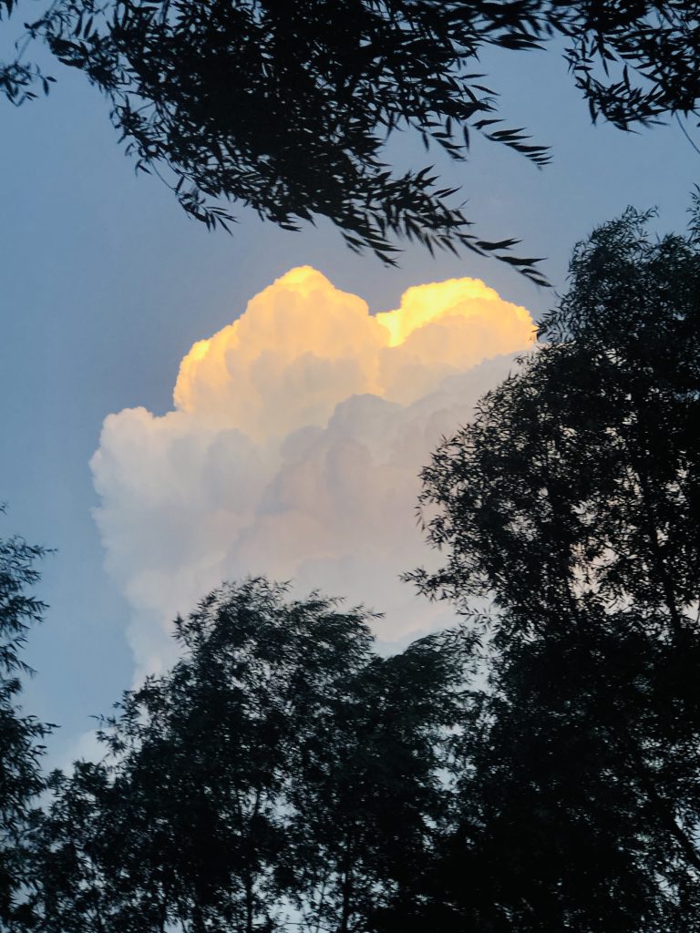 图片[64]-摄联第一届摄影大赛作品展览-宁夏学生摄影联合会